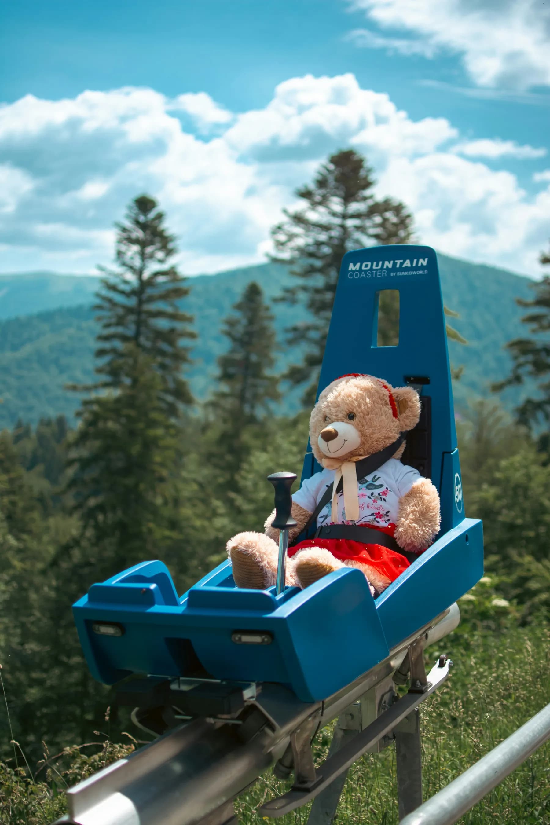 Mountain Coasters