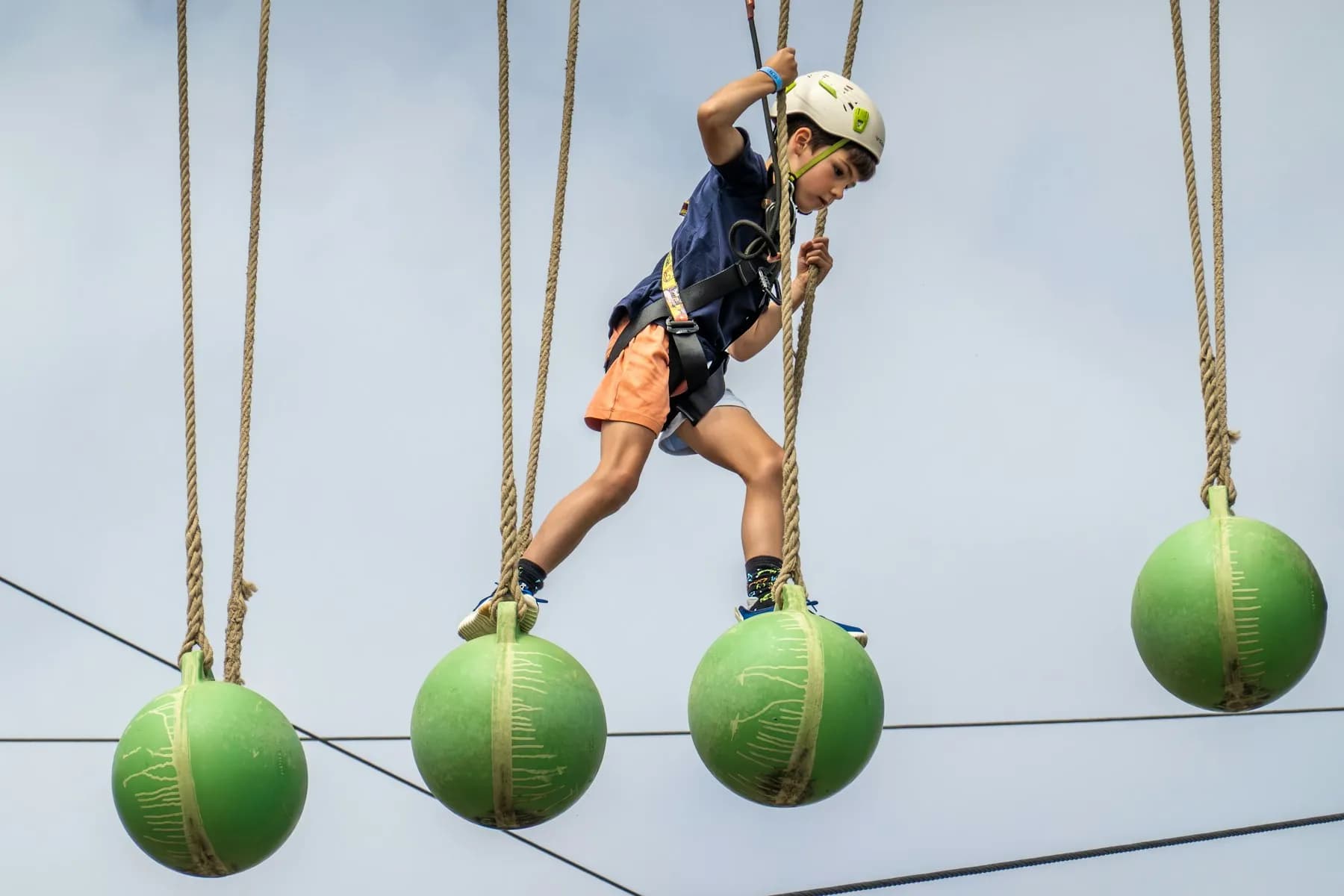 Parc aventure dans les arbres
