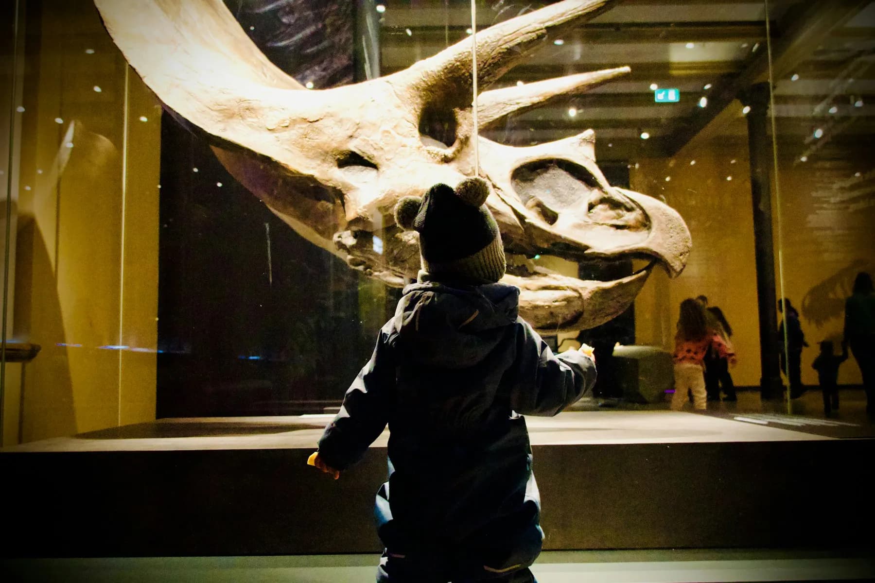 Interactive Museum