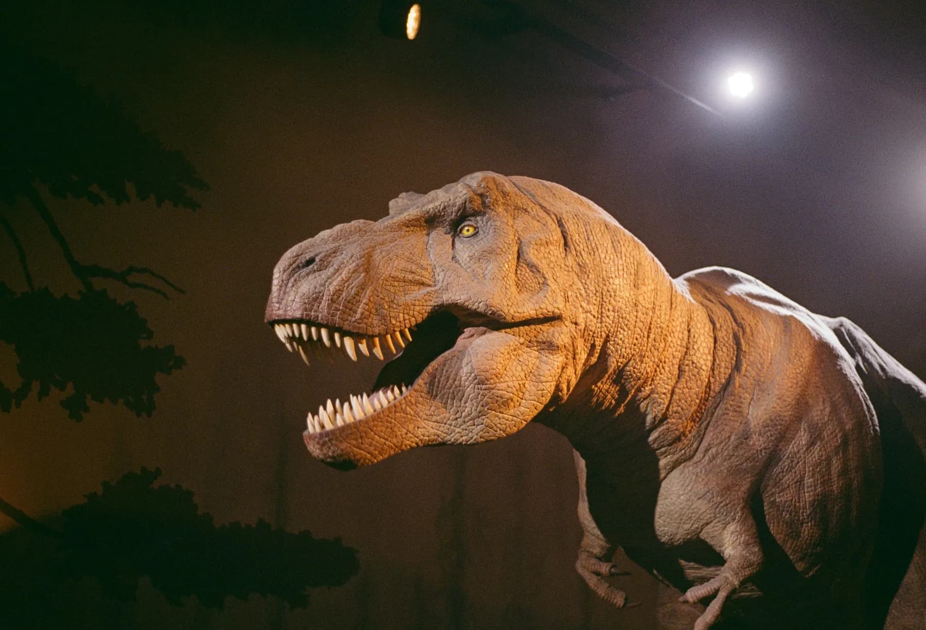 Animatronic Dinosaur (12 m)