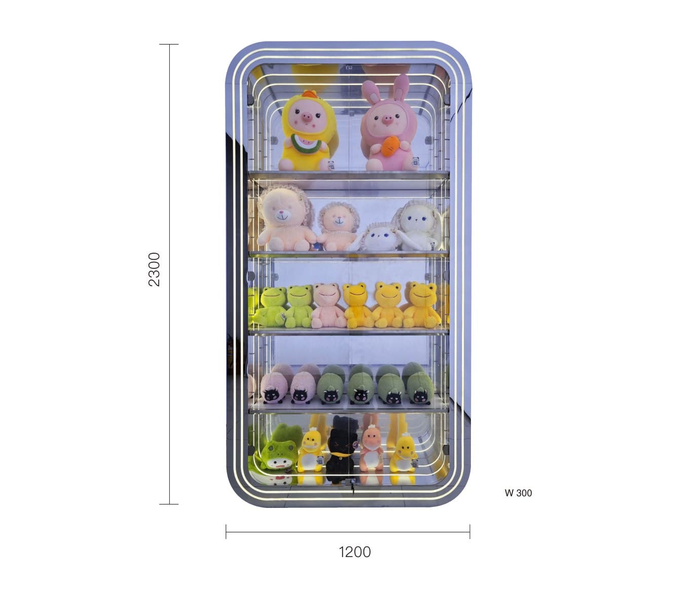 Display Cabinet 1200×2300