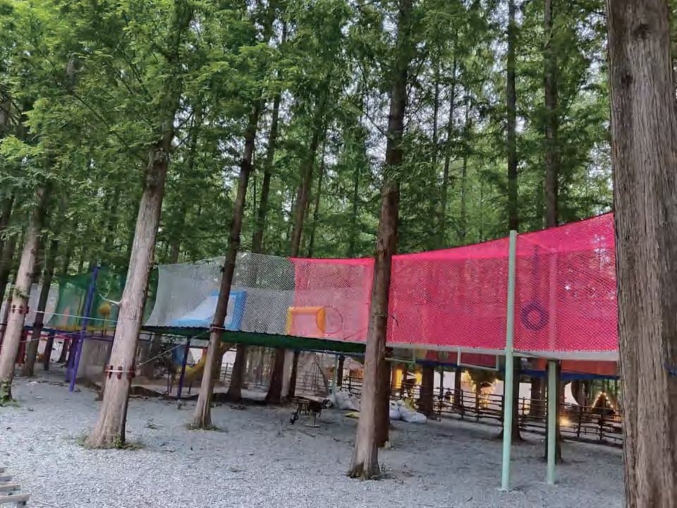 Jungle Net Trail