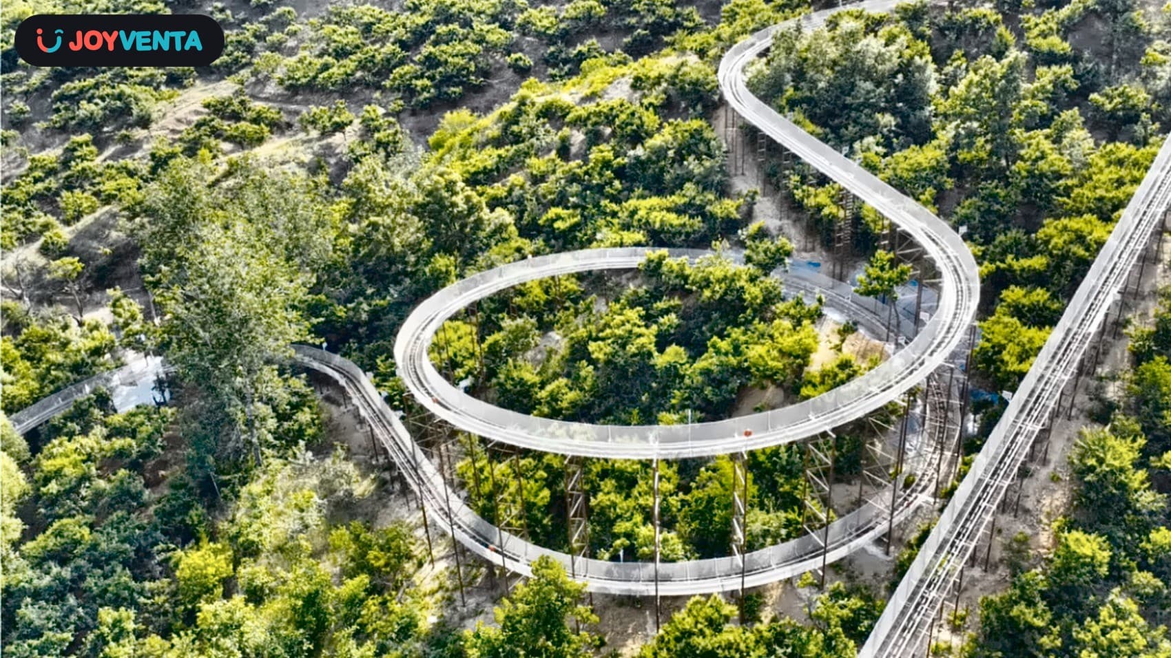 Twin-Rail Mountain Coaster