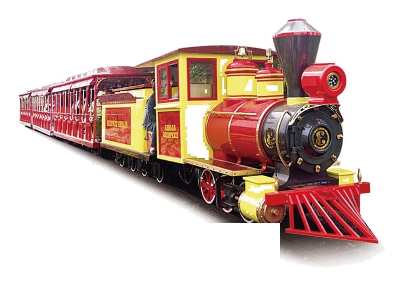 Carnival Steam Train 63